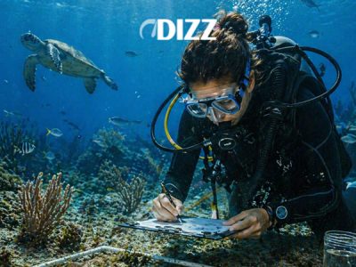 Marine Biology Courses That Prepare You for Advanced Ocean Research and Global Environmental Careers